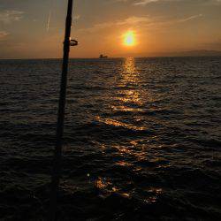 夕まずめ時合スタート