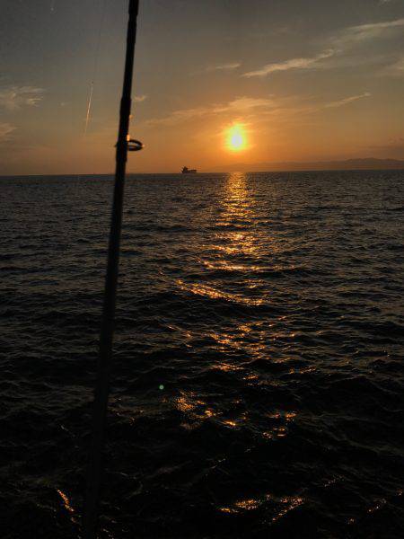 夕まずめ時合スタート