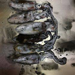 リハビリエギング