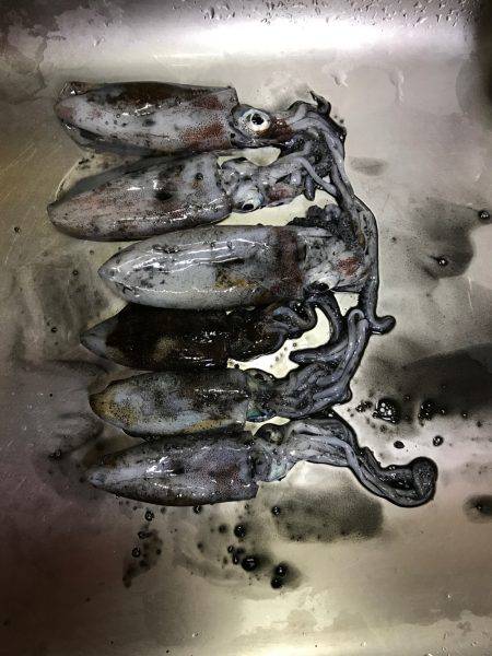 リハビリエギング