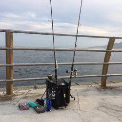 淡路島タチウオ・青物釣行