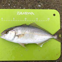 ヒットパターン