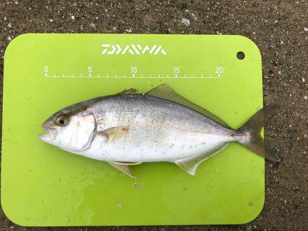 ヒットパターン