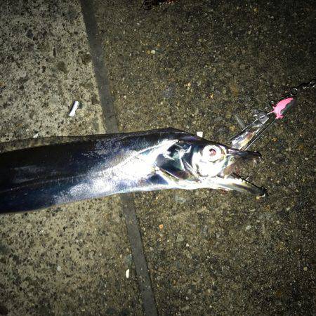 神戸ポートアイランド タチウオ