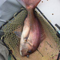 マイボートでタイラバで真鯛