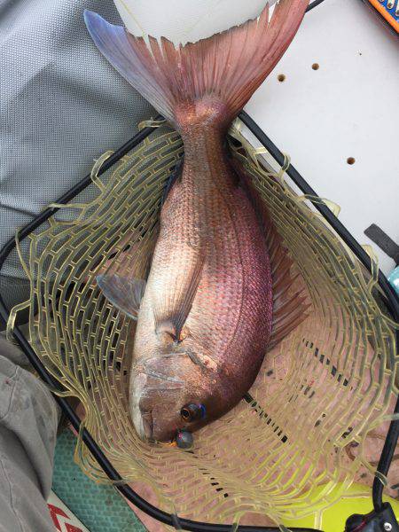 マイボートでタイラバで真鯛