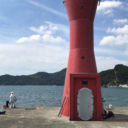 津田沖一文字で12〜15センチのアジ150匹