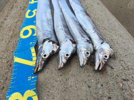 フォールバイト