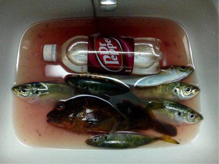 休み前アジング