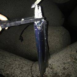 ライトショアジギンク