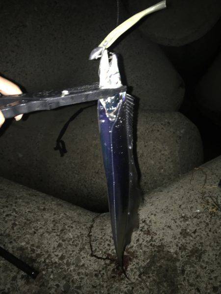 ライトショアジギンク