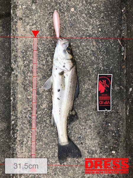 員弁川16時頃トップにて