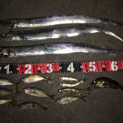 五目スプーンジグで楽しく五目釣り