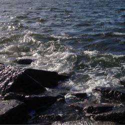 モーニングシーバス狙いも