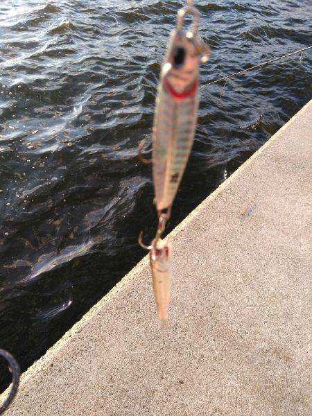 台風一過後のお祭りワッショイ