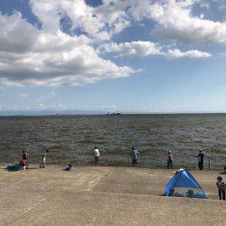 サビキ釣りとワインドでのタチウオ狙い