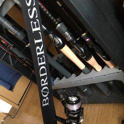 サゴシからのハマチ