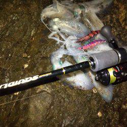 タチウオ&エギング