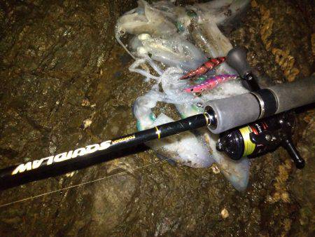 タチウオ&エギング