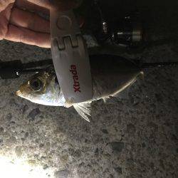 会社帰りに(oﾟ3ﾟb)b