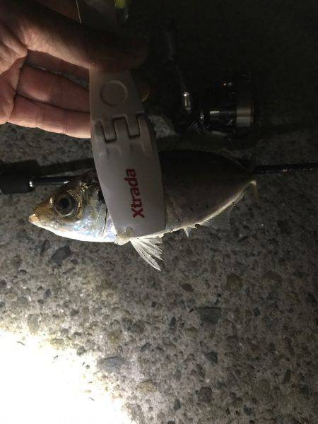 会社帰りに(oﾟ3ﾟb)b