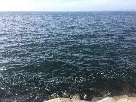 ナブラ打ちでツバス