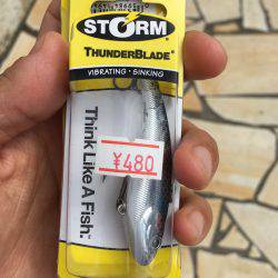 淀川シーバス 秋の気配