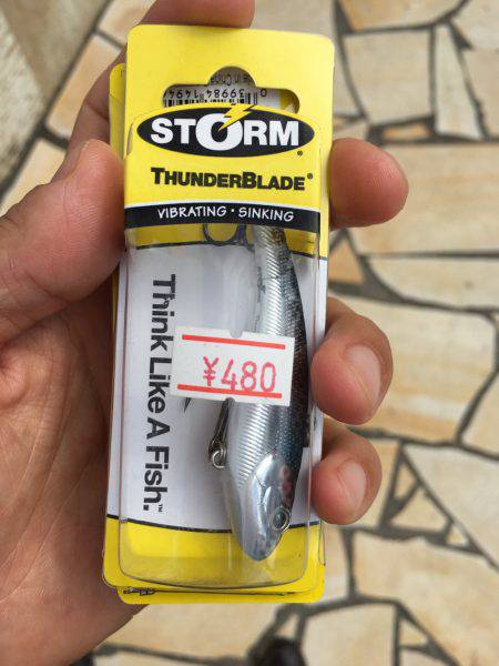 淀川シーバス 秋の気配