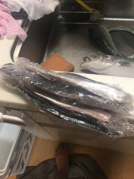 ショアジギシーズン最高！