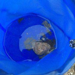 ファミリーフィッシング？