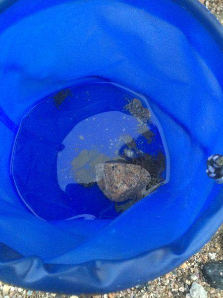 ファミリーフィッシング？