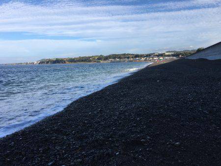 ニューロッドでアオリ他