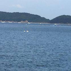 アオリと青色のん