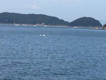 アオリと青色のん