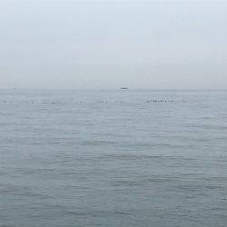 やっぱり朝まずめ(＾ｰ^)