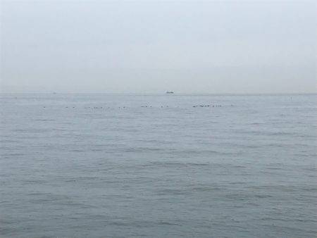 やっぱり朝まずめ(＾ｰ^)