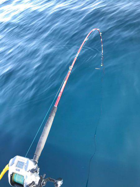 萩市 船五目釣り