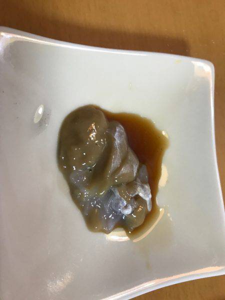 久しぶりにエギング