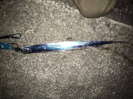 したしぶりの釣果