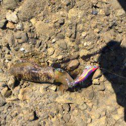 遠征でみなべなまで