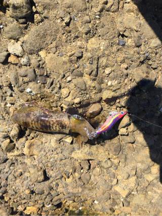 遠征でみなべなまで