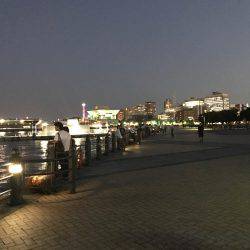 アジング成功！