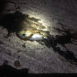 もう薄着では寒いですm(_ _)m