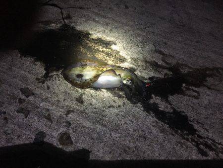 もう薄着では寒いですm(_ _)m