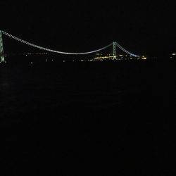 マズマズのアオリ