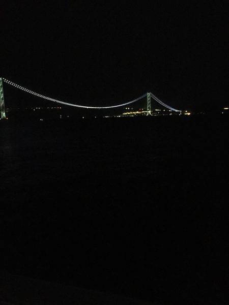 マズマズのアオリ