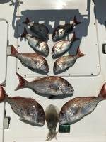 タイラバ巻き巻き