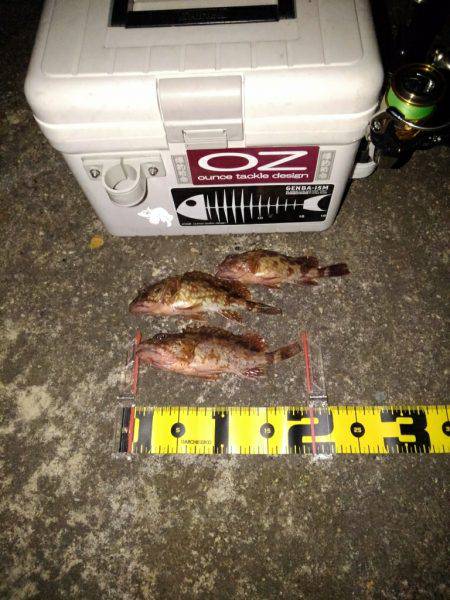 ガシリンクにはまってます!!