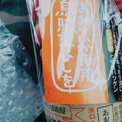 こけて死にかけエギング