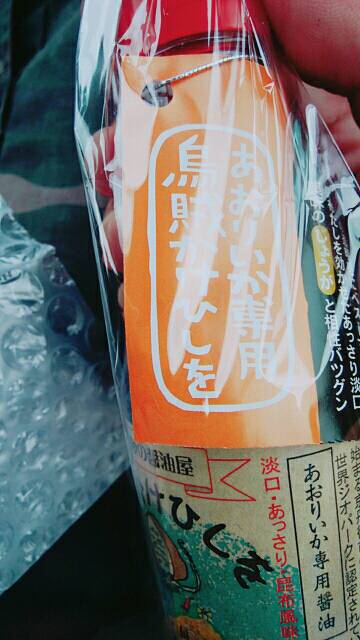 こけて死にかけエギング